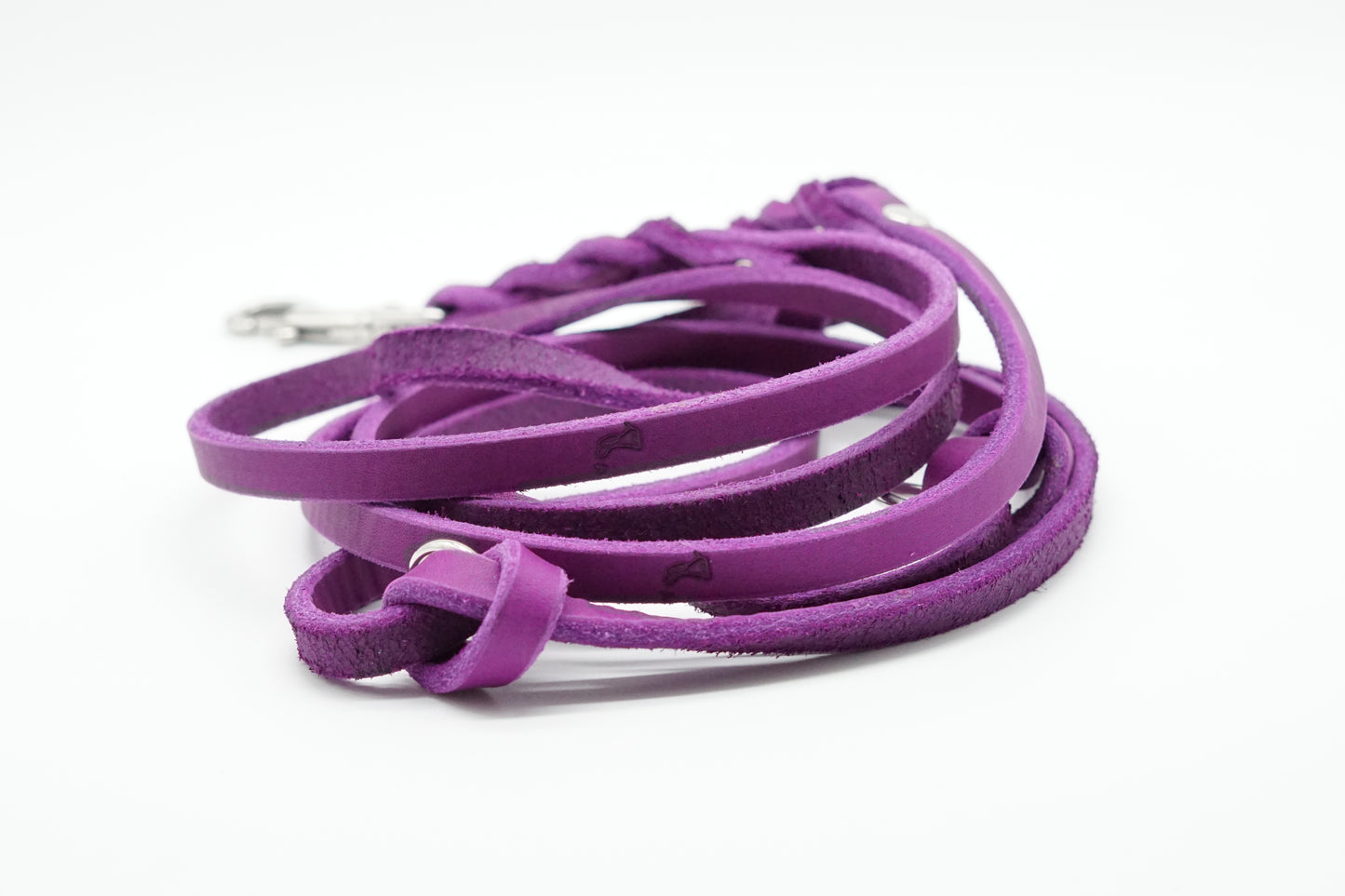 Hundeleine - Violett