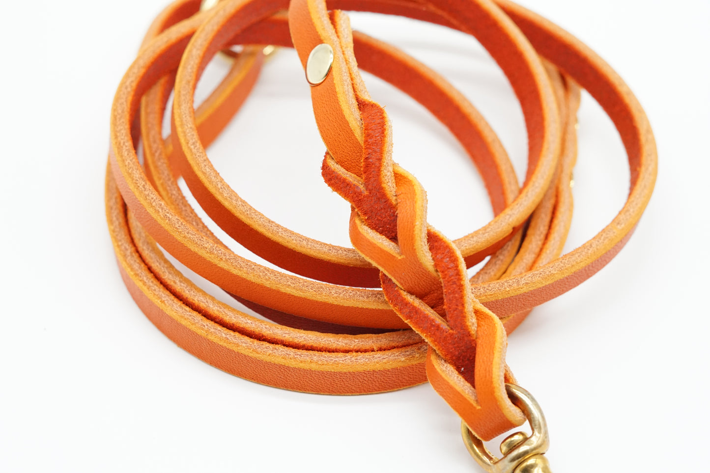 Hundeleine - Orange
