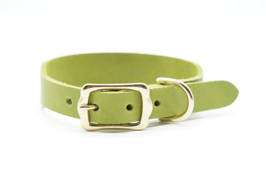 Halsband Classic - Kiwi