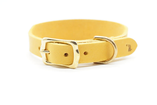 Halsband Classic - Gelb