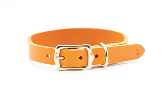 Halsband Classic - Orange